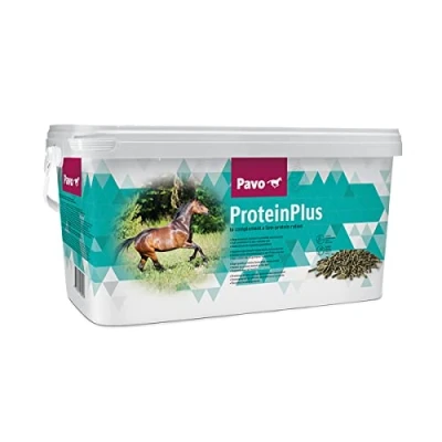 Image de Pavo ProteïnPlus