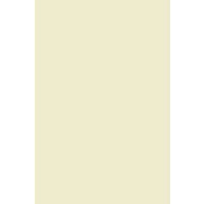 Afbeelding van Netuno 100 x ivoorkleurig karton, 170 g, A4, 210 297 mm, Lessebo glad ivoor, bedrukbaar papier, natuurlijk, decoratief crème, voor knutselen, visitekaartjes, uitnodigingen, origami,
