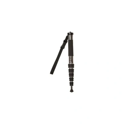 Afbeelding van Gitzo Series 2 GM2562T monopod