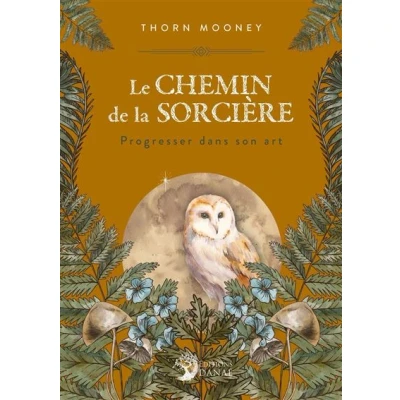 Image de Le Chemin de la Sorcière Progresser dans son Art