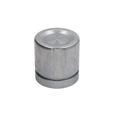 Afbeelding van AUTOFREN SEINSA D025242 Zuiger, remklauw 54 LUCAS / ATE