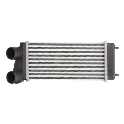Afbeelding van THERMOTEC DAC004TT Intercooler 300 150 88