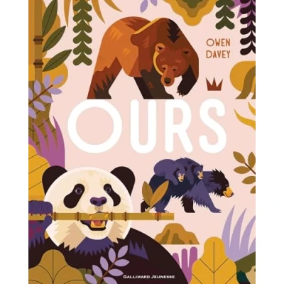 Afbeelding van OURS