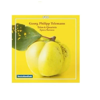 Afbeelding van Georg Philipp Telemann: Trios &amp; Quartets