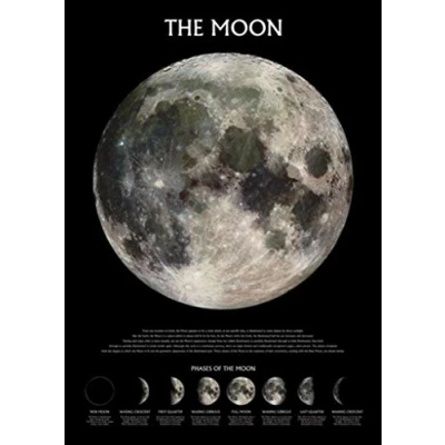 Afbeelding van Pyramid Poster The Moon Phases 91.5 X 61 Cm Multicolor