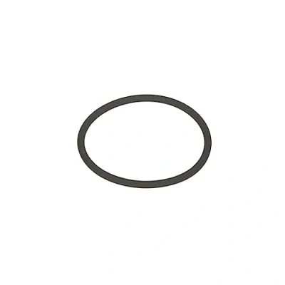 Afbeelding van BOSCH F 00R J00 220 O ring