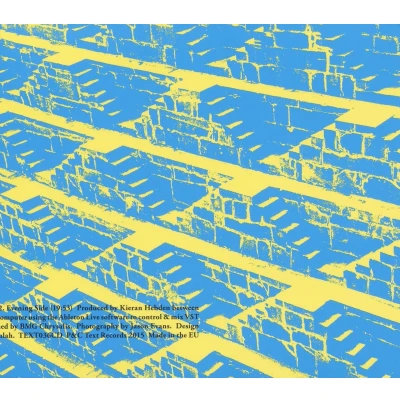 Afbeelding van Four Tet Morning / Evening (LP)
