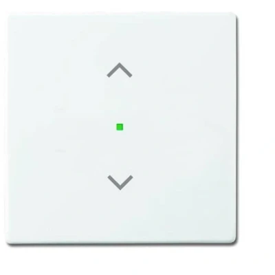 Afbeelding van Busch Jaeger 2CKA006220A0040 Jaloezie schakelaar, knop Afdekking 1 voudig Carat, free@home, Future lineair, Solo Wit, Verkeerswit