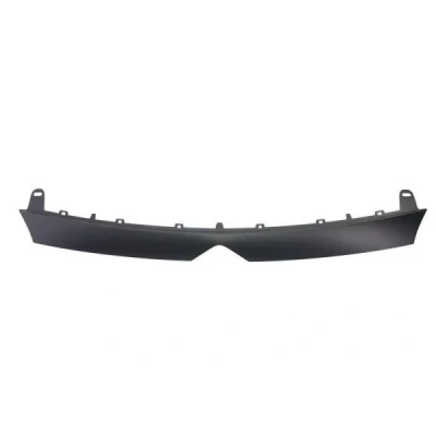 Afbeelding van Frame,Radiatorrooster BLIC 6502 07 0554921Q