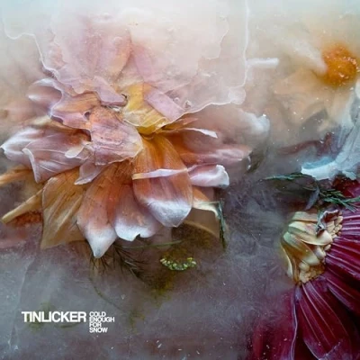 Afbeelding van Tinlicker Cold Enough For Snow Mountain (2 LPs)