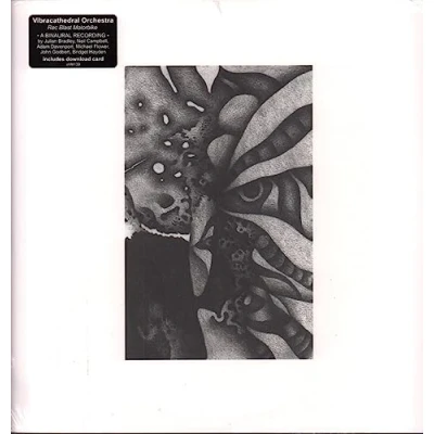 Afbeelding van Vibracathedral Orchestra Rec Blast Motorbike (LP)