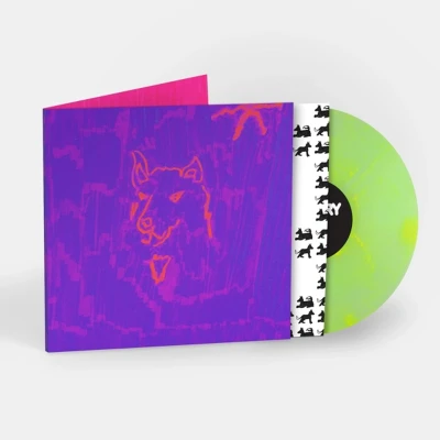 Afbeelding van Dehd Poetry (LP)