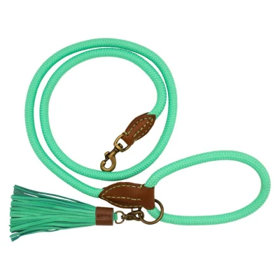 Afbeelding van Dwam Looplijn Jade Touw Turquoise Hondenriem 155x1.4 cm