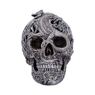 Afbeelding van Nemesis Now Beeld/figuur Cranial Drakos Schedel Zilverkleurig