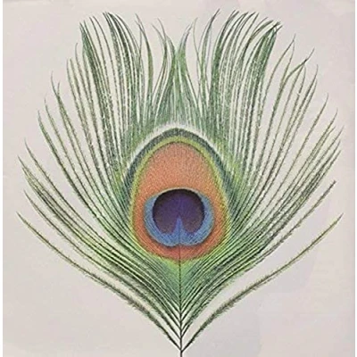 Afbeelding van XTC Apple Venus Vol. 1 (CD)