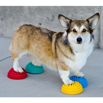 Afbeelding van FitPAWS Paw Pods