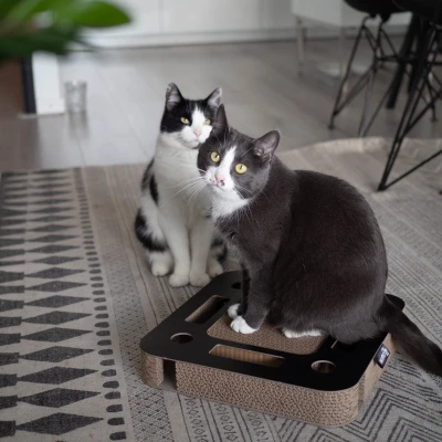 Afbeelding van District70 Kattenspeelgoed Spy Zwart