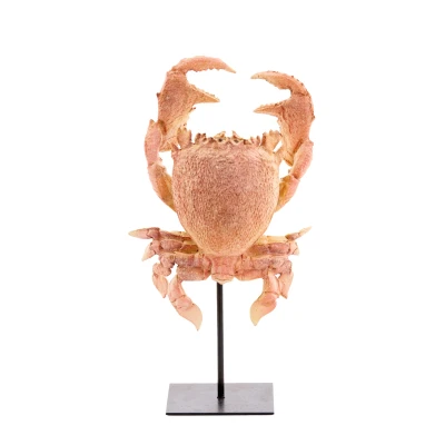 Afbeelding van Light &amp; Living Ornament CRAB 23x12.5x42.5cm Oranje