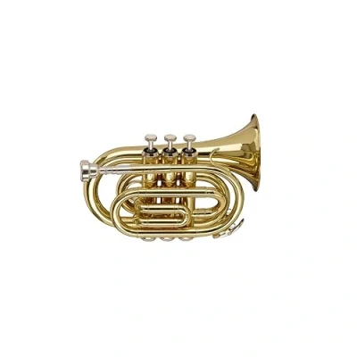 Afbeelding van Stagg Pocket Trompet WS TR245S