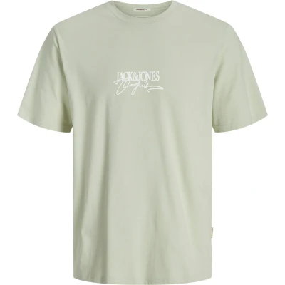 Afbeelding van JACK&amp;JONES JORALMERIA BRANDING TEE SS CREW NECK Heren T shirts