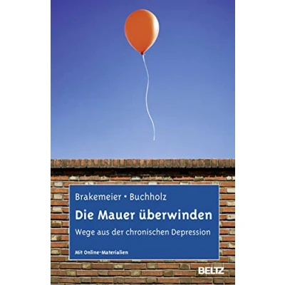 Afbeelding van Die Mauer überwinden