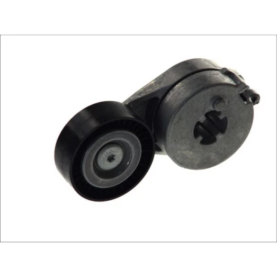 Afbeelding van Spanrol, Poly V riem SKF VKM 31310