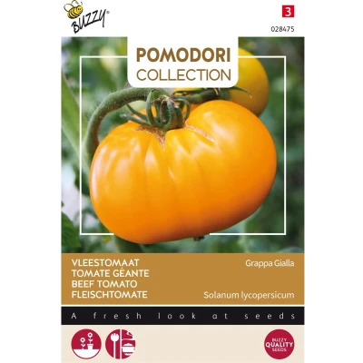 Afbeelding van Pomodori grappa gialla Buzzy