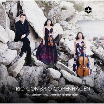 Afbeelding van Trio Con Brio Copenhagen Piano Trios (CD)