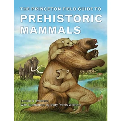 Afbeelding van The Princeton Field Guide to Prehistoric Mammals