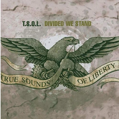 Afbeelding van Devided We Stand