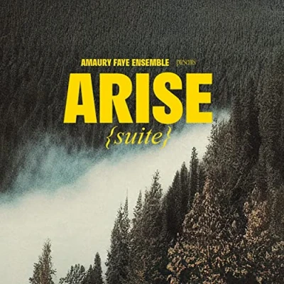 Afbeelding van Amaury Faye Ensemble Arise (Suite) (CD)