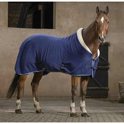 Afbeelding van Riding World Polar Comfort Stabiel Tapijt Blauw 190 145 cm