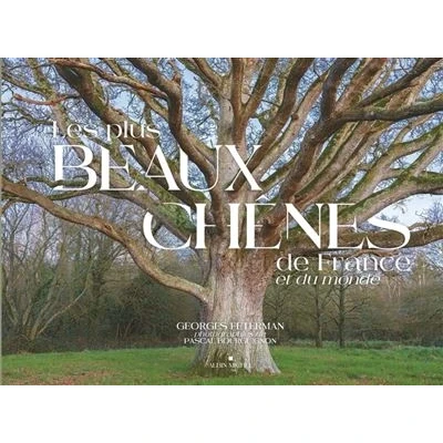 Image de Les Plus Beaux Chênes de France et du monde