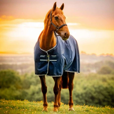 Afbeelding van Amigo Ripstop 900D 50g Fleece Lined Witney Navy 140/191 Agradi.be