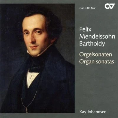 Afbeelding van Kay Johannsen Organ Sonatas Op.65 (CD)