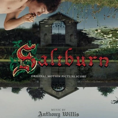 Afbeelding van Saltburn