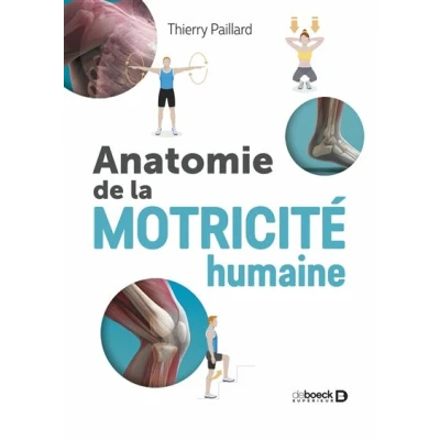 Image de Anatomie de la motricité humaine
