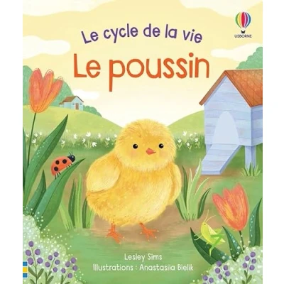 Afbeelding van LE POUSSIN
