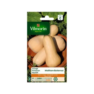 Afbeelding van Pompoen Waltham Butternut