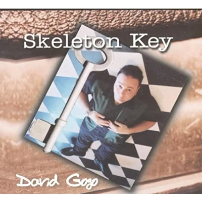 Afbeelding van David Gogo Skeleton Key (CD)