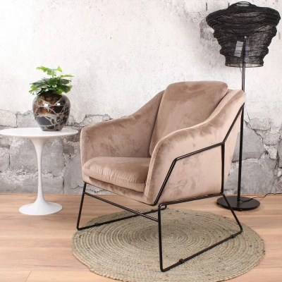 Afbeelding van Antonio fauteuil velvet champagne
