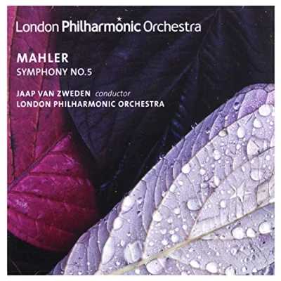 Afbeelding van London Philharmonic Orchestra Mahler: Symphony No.5 (CD)