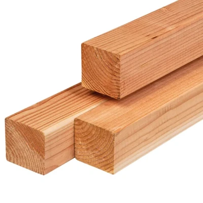 Afbeelding van Paal douglas 8,5x8,5x300 cm Tuindeco