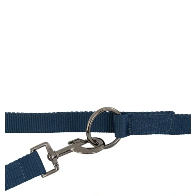 Image de BR Laisse pour Chien II Big DipperVendu par Agradi