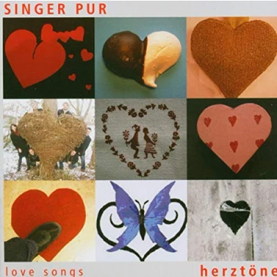 Afbeelding van Singer Pur Love Songs (CD)