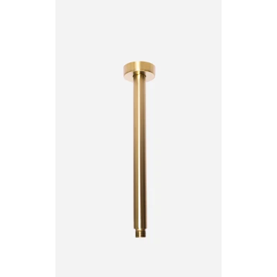 Afbeelding van OUTLET Rubio Inox douchearm plafond 300mm volledig RVS in PVD kleur geborsteld goud 1208920717 Laatste Product