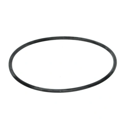 Afbeelding van Euroricambi 60531190 O ring
