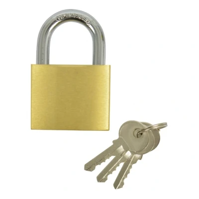 Afbeelding van Carpoint Hangslot 50 Mm Goud Beveiliging