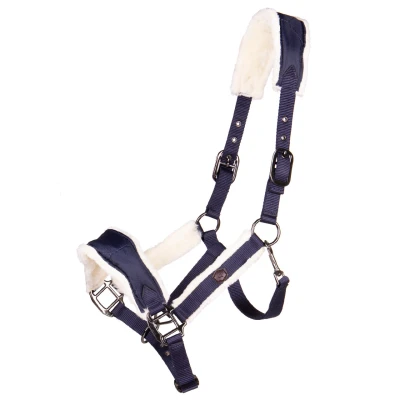 Image de QHP Halter Classy