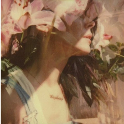 Afbeelding van Nerina Pallot Stay Lucky (CD)